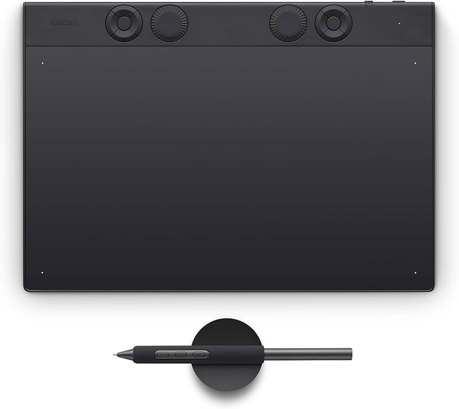 Amazon.com: Wacom Intuos Pro M, W129126089 : Electronics